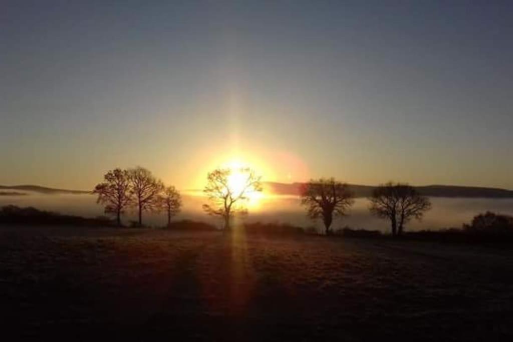 Perfect Cottage Retreat Near The Brecon Beacons Llanwrda Kültér fotó