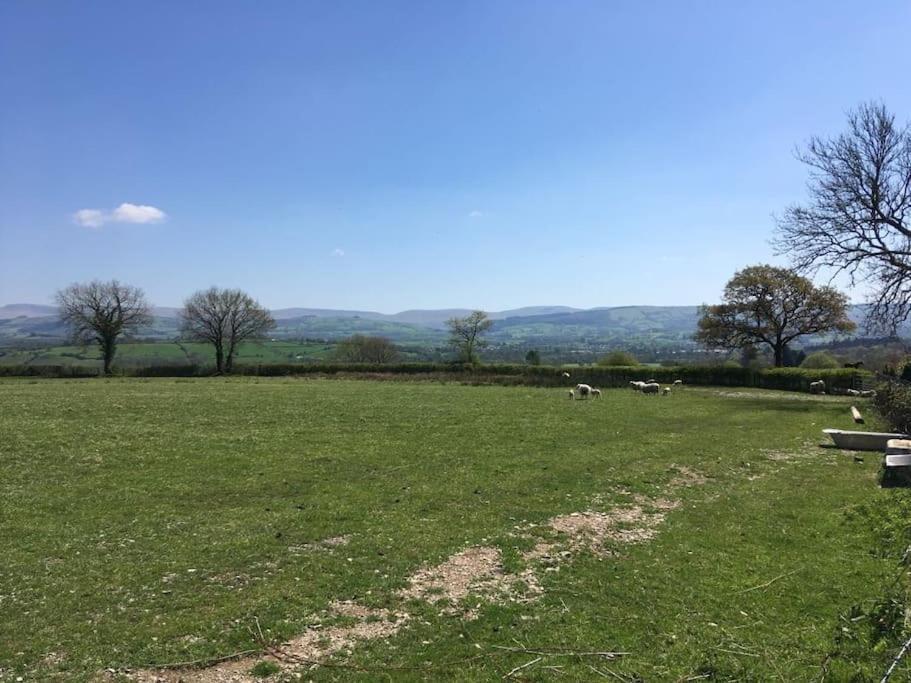 Perfect Cottage Retreat Near The Brecon Beacons Llanwrda Kültér fotó