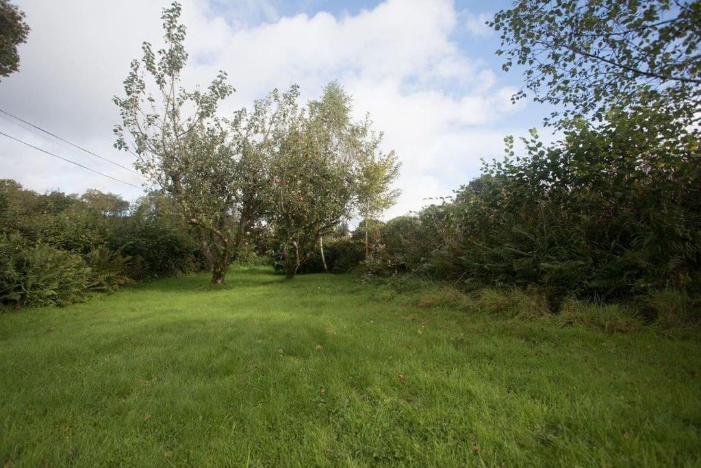 Perfect Cottage Retreat Near The Brecon Beacons Llanwrda Kültér fotó